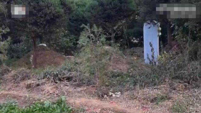 打洞进校上坟“含一座烈士坟”多方回应k8凯发一触即发村民称祖坟被圈进小学