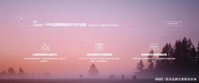 塑造独特形象的综合艺术凯发k8品牌全案设计：(图3)